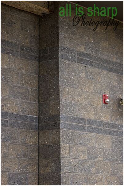 Arch Det 008